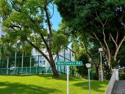 Mayflower Gardens (D20), Terrace #589317091